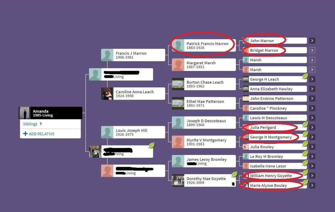 Foray Into Genealogy: Immigrant Ancestors